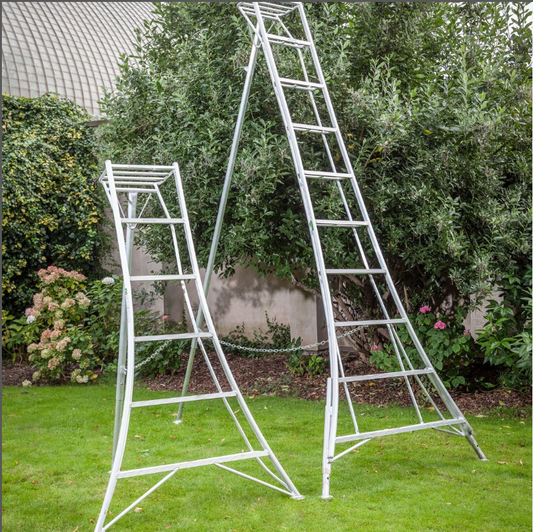 Exploring Different Types of Garden Tripod Ladders